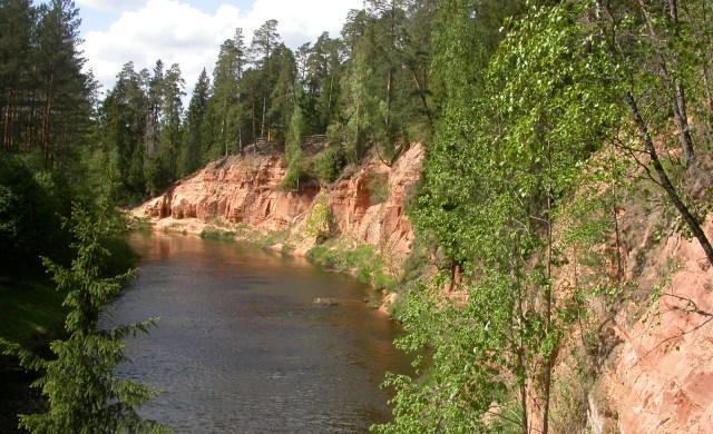 Upe gauja