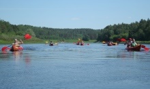 Daugavas loki