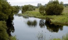 Rītupe